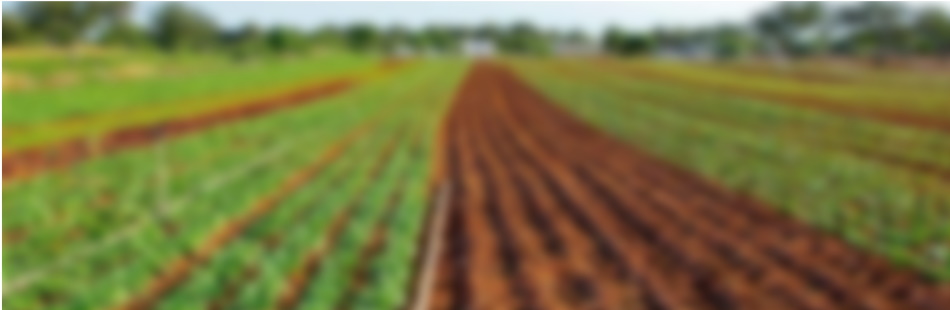 Línea Financia-Agro