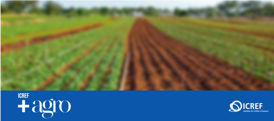 Lnea ICREF + AGRO